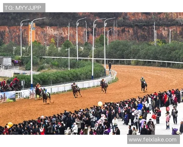 “贵州村马” IP为何继续出圈？这4个“重视”给出了答案